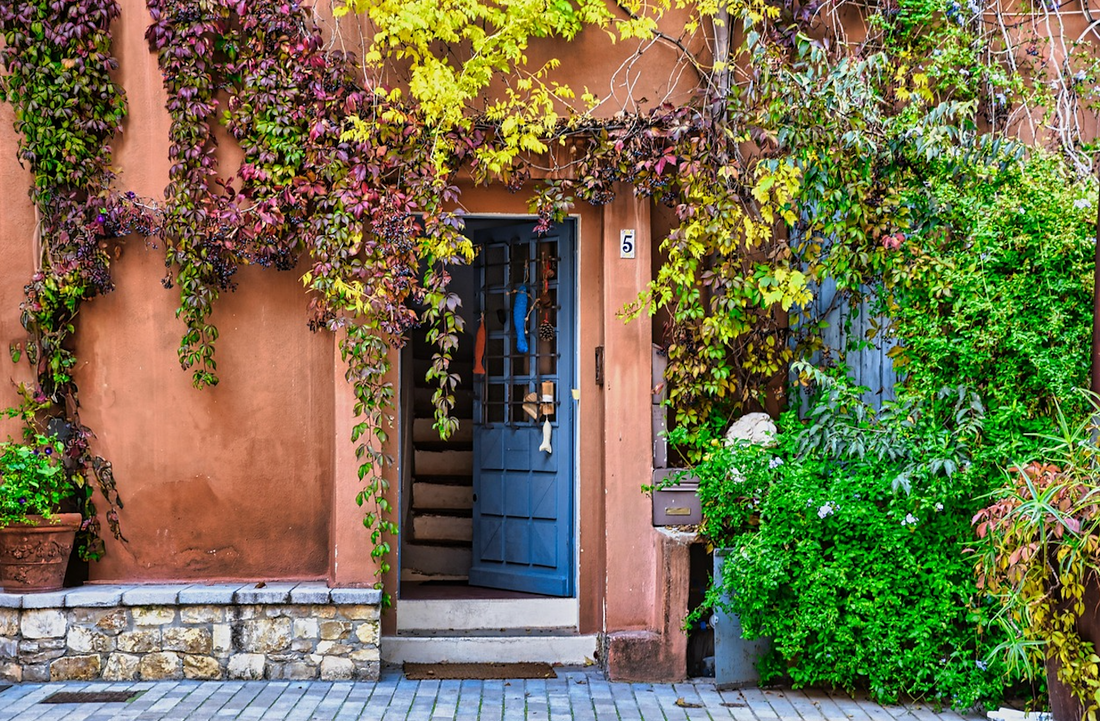 Key Bioactive Compounds in Seaweed