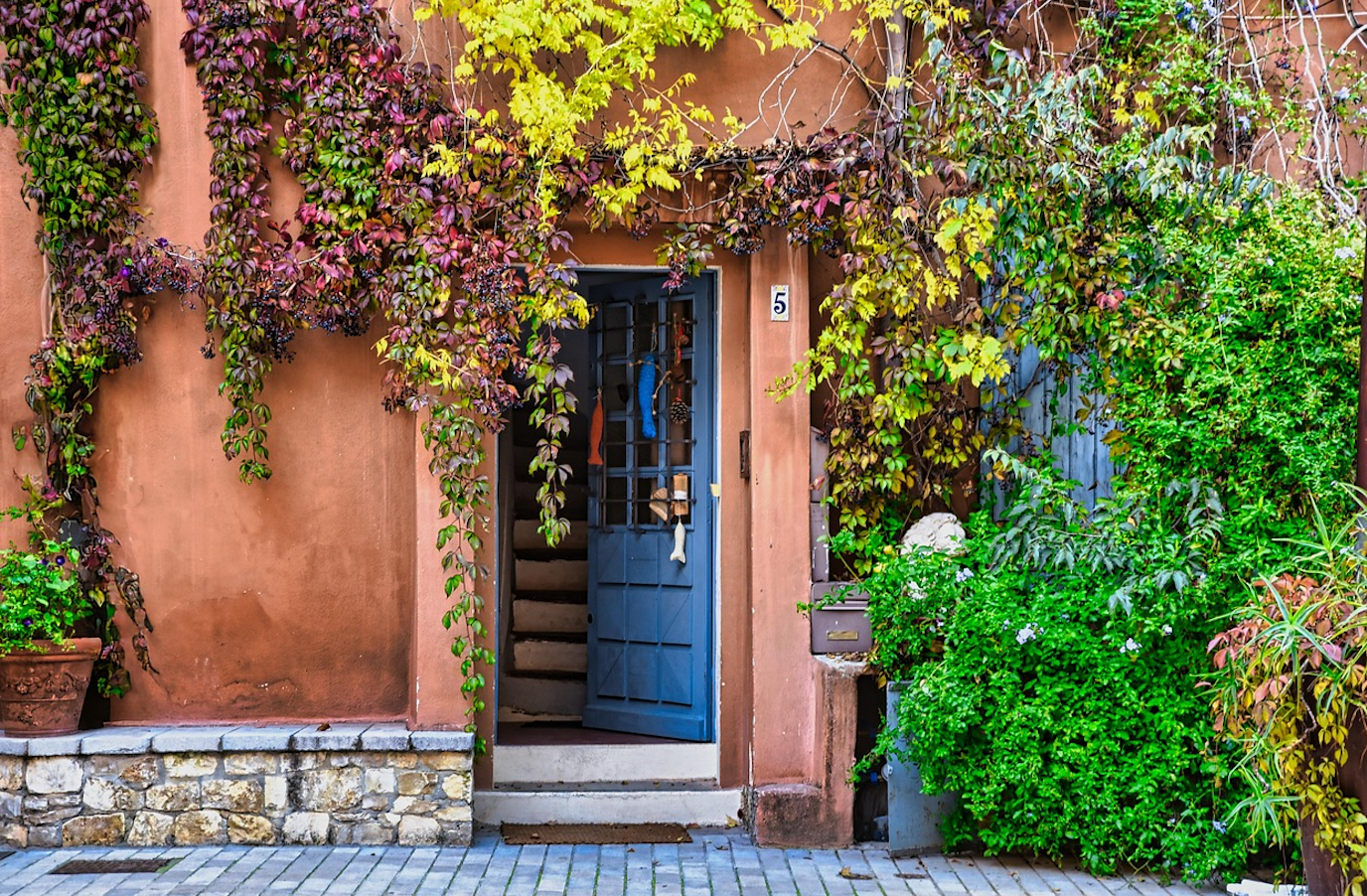 Key Bioactive Compounds in Seaweed