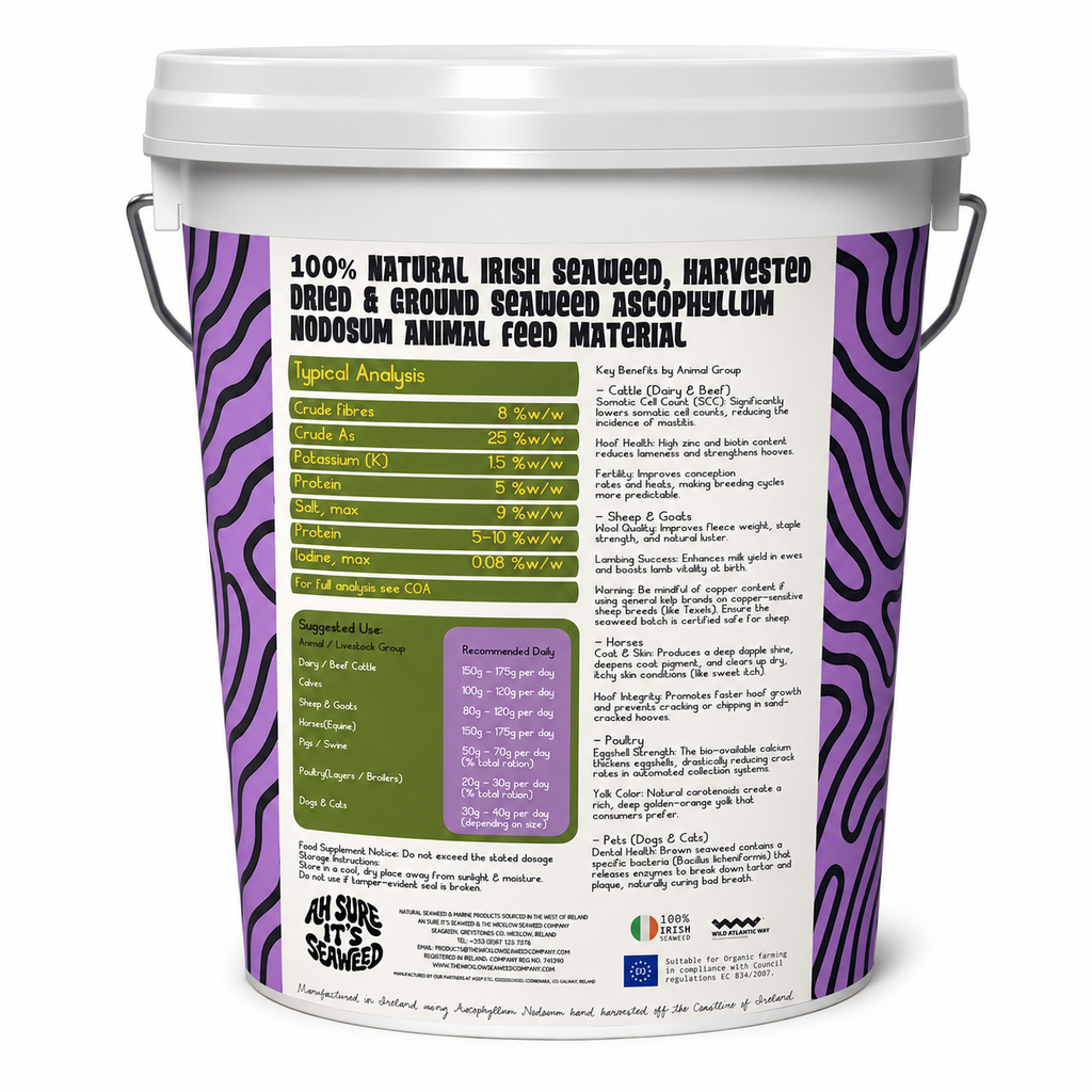 Natural Seaweed Animal Feed